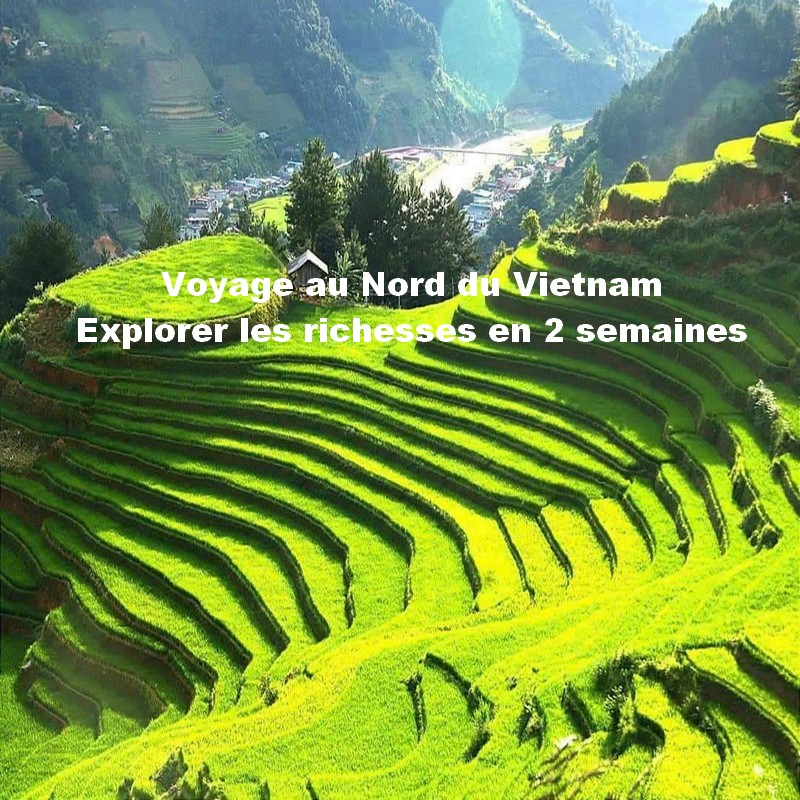 Voyage au Nord du Vietnam: Explorer les richesses en 2 semaines